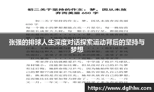 张强的排球人生深度对话探索运动背后的坚持与梦想