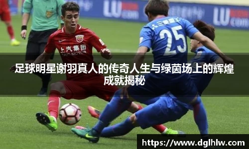 足球明星谢羽真人的传奇人生与绿茵场上的辉煌成就揭秘